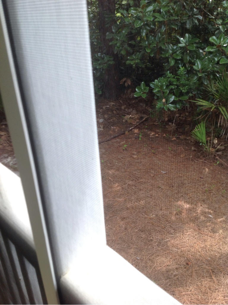 OLD TOWN OF SANTA ROSA BEACH - Residential Lease