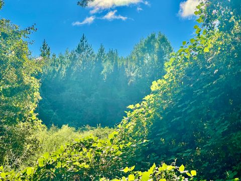 TBD St Highway 81 (170 Acres) Ponce De Leon FL 32455