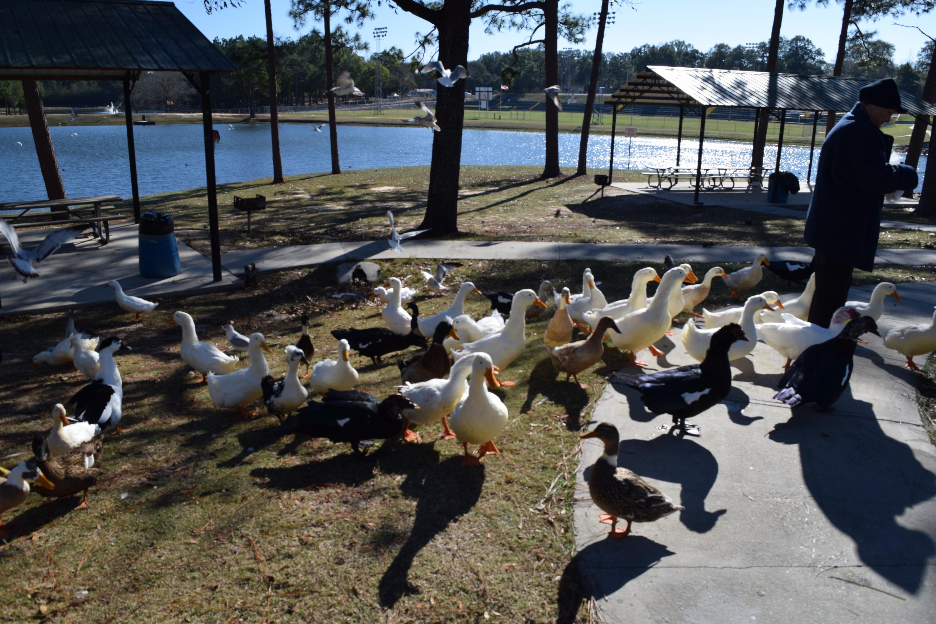 CITY OF CRESTVIEW - Land