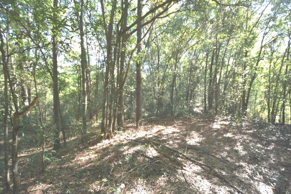 CITY OF CRESTVIEW - Land