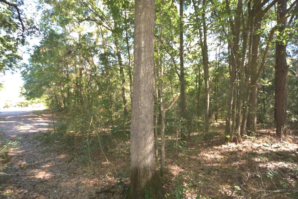 CITY OF CRESTVIEW - Land