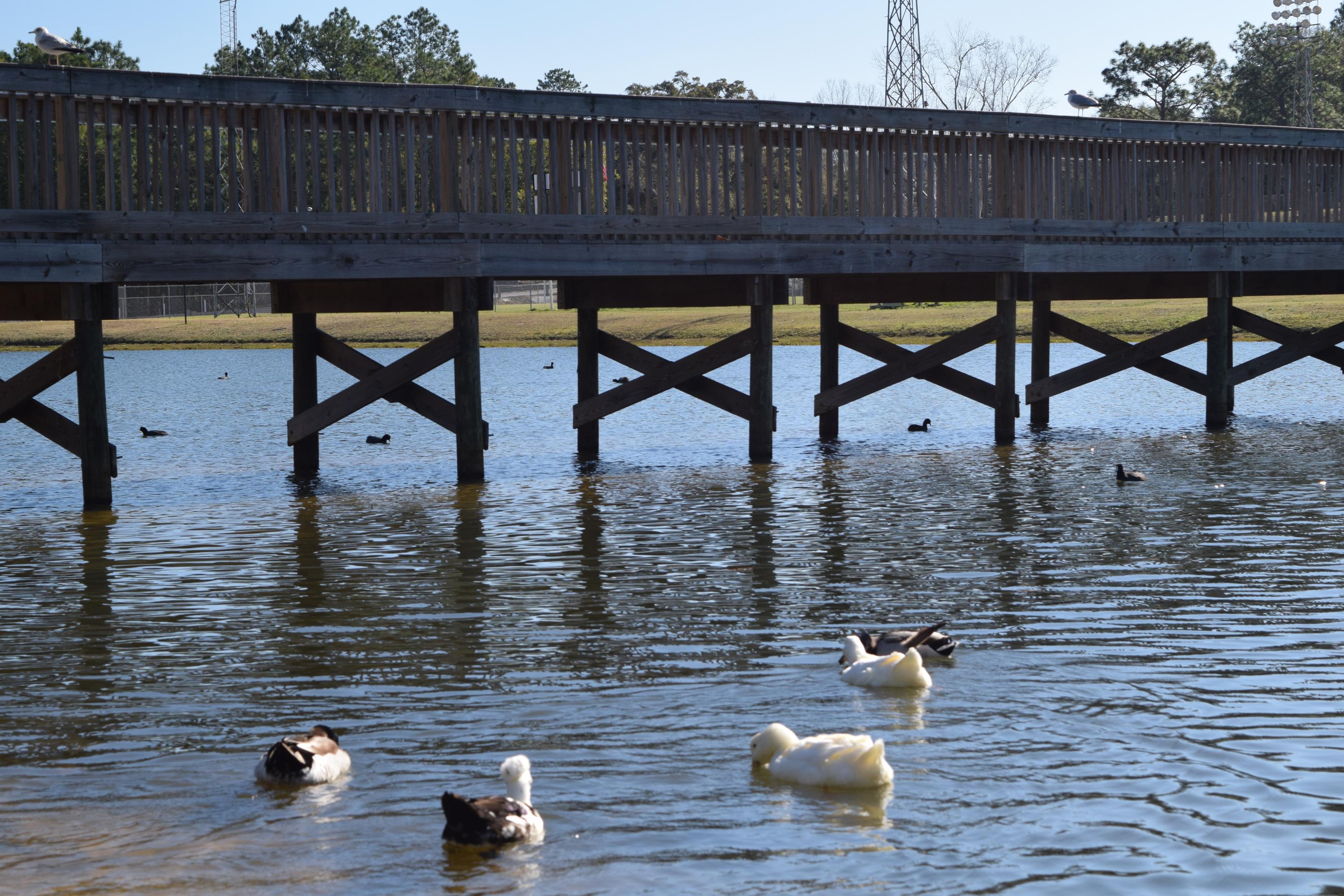 CITY OF CRESTVIEW - Land