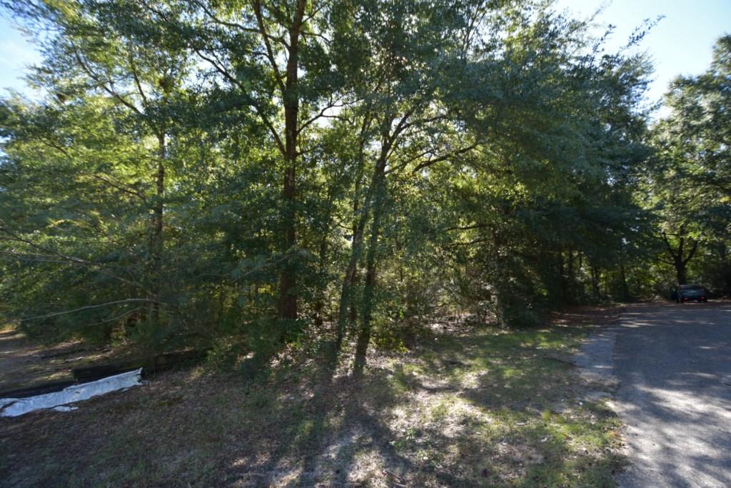 CITY OF CRESTVIEW - Land