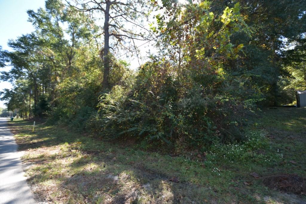 CITY OF CRESTVIEW - Land