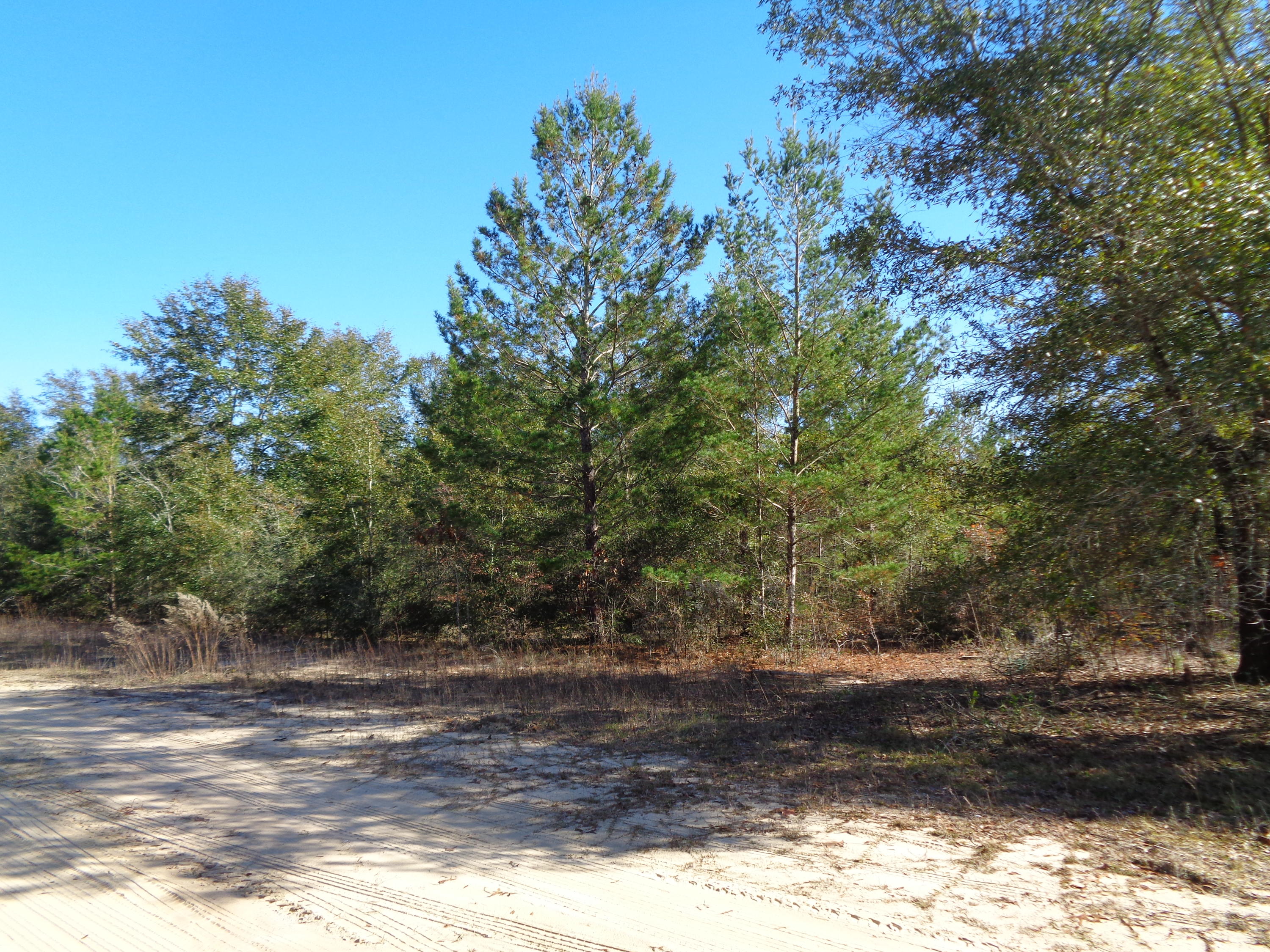 1 acre wooded lot North of Defuniak springs. Perfect spot for building your new home or new manufactured home. New parcel ID will need to be established. Lot has been surveyed. Lot sold as is. Buyer to perform all due-diligence.