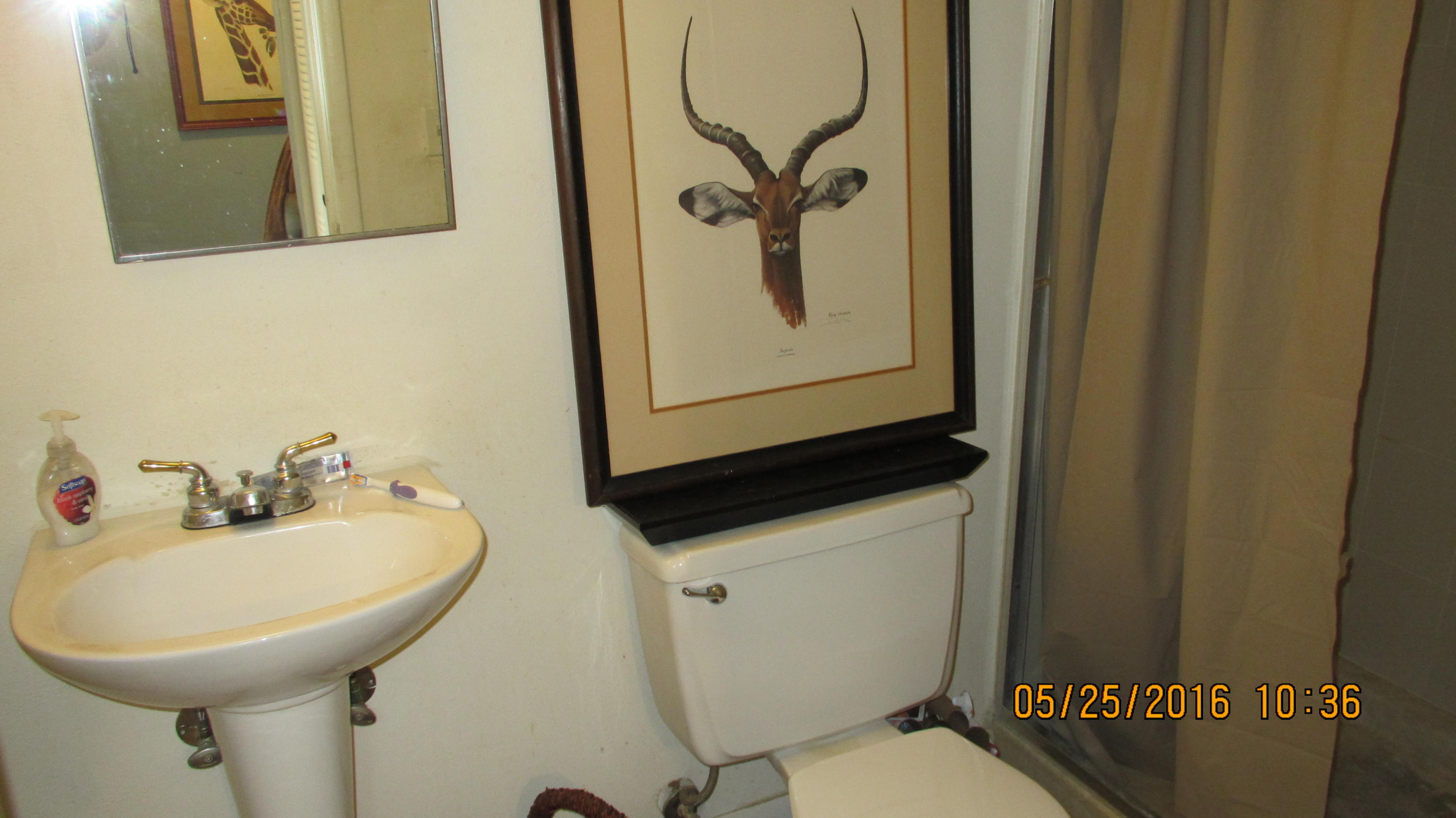 FOUNTAINHEAD CONDO - Residential