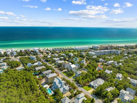 90 Seacrest Drive Inlet Beach FL 32461