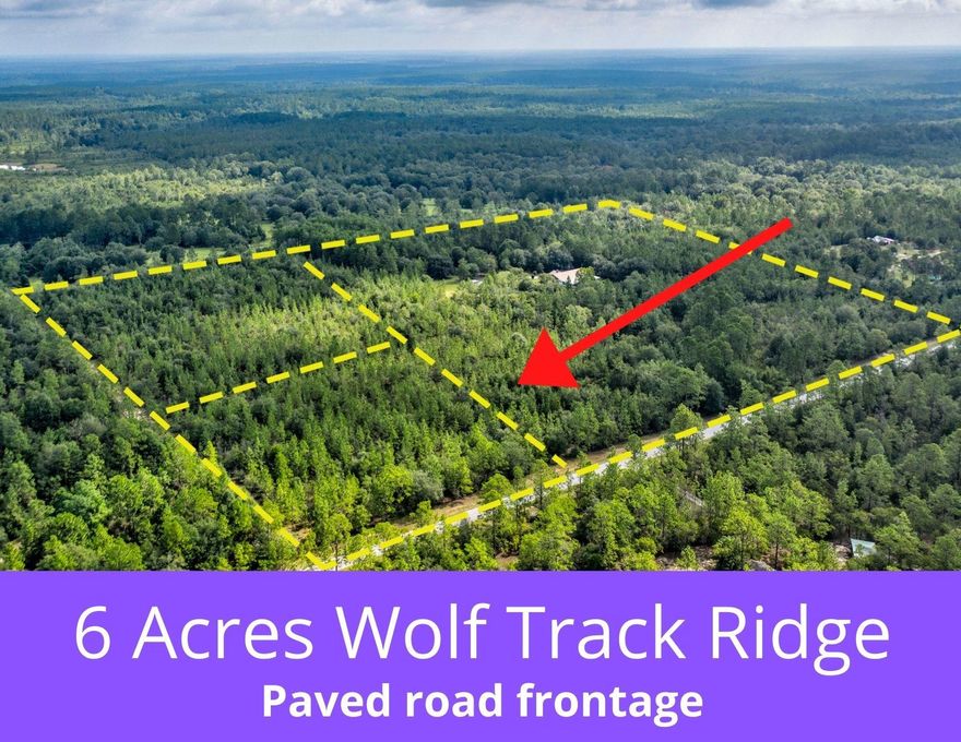 Build your dream home on this beautiful flat 6 acre parcel in Northeast Crestview. Paved road frontage in a quiet community with few neighbors. Parcel is currently fenced on two sides and contains some planted pines.