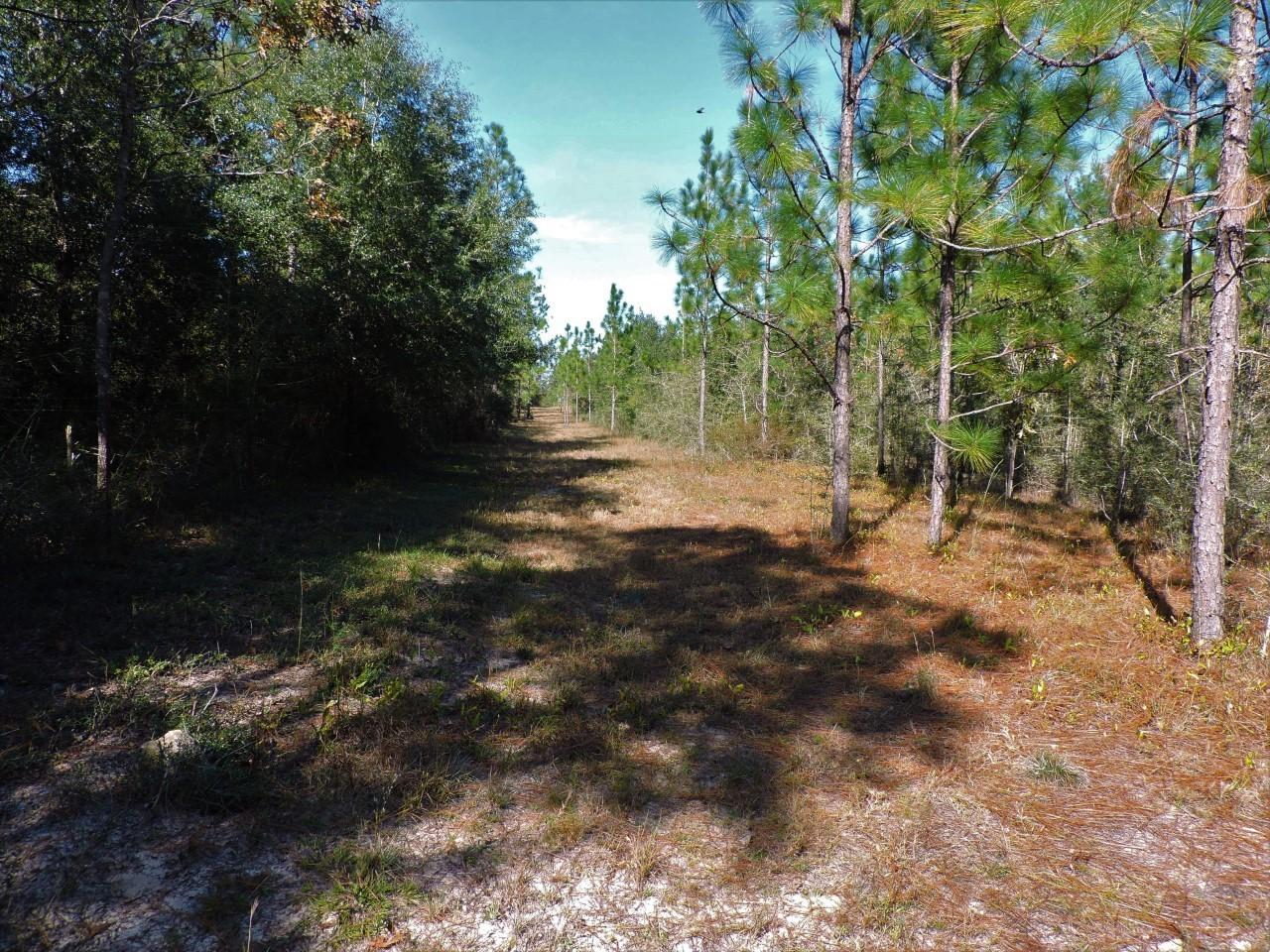 METES & BOUNDS - Land