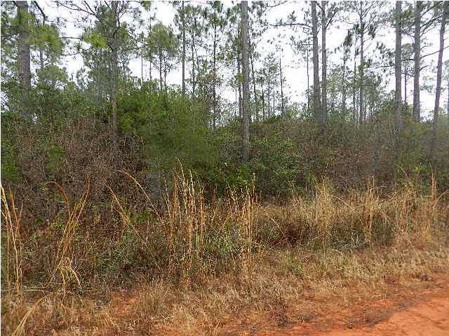 1.5 acre lot on Windmill Drive. Great level location for a new build with privacy. 138 ft. frontage with 481 ft. deep lot. Midway community, located between Pensacola and Destin. Privacy and horse friendly zoning.