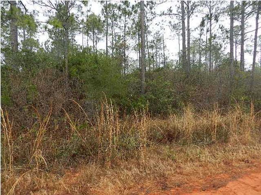 1.5 acre lot on Windmill Drive. Great level location for a  new build with privacy. 138 ft. frontage with 481 ft. deep lot. Midway community, located between Pensacola and Destin. Privacy and horse friendly zoning.