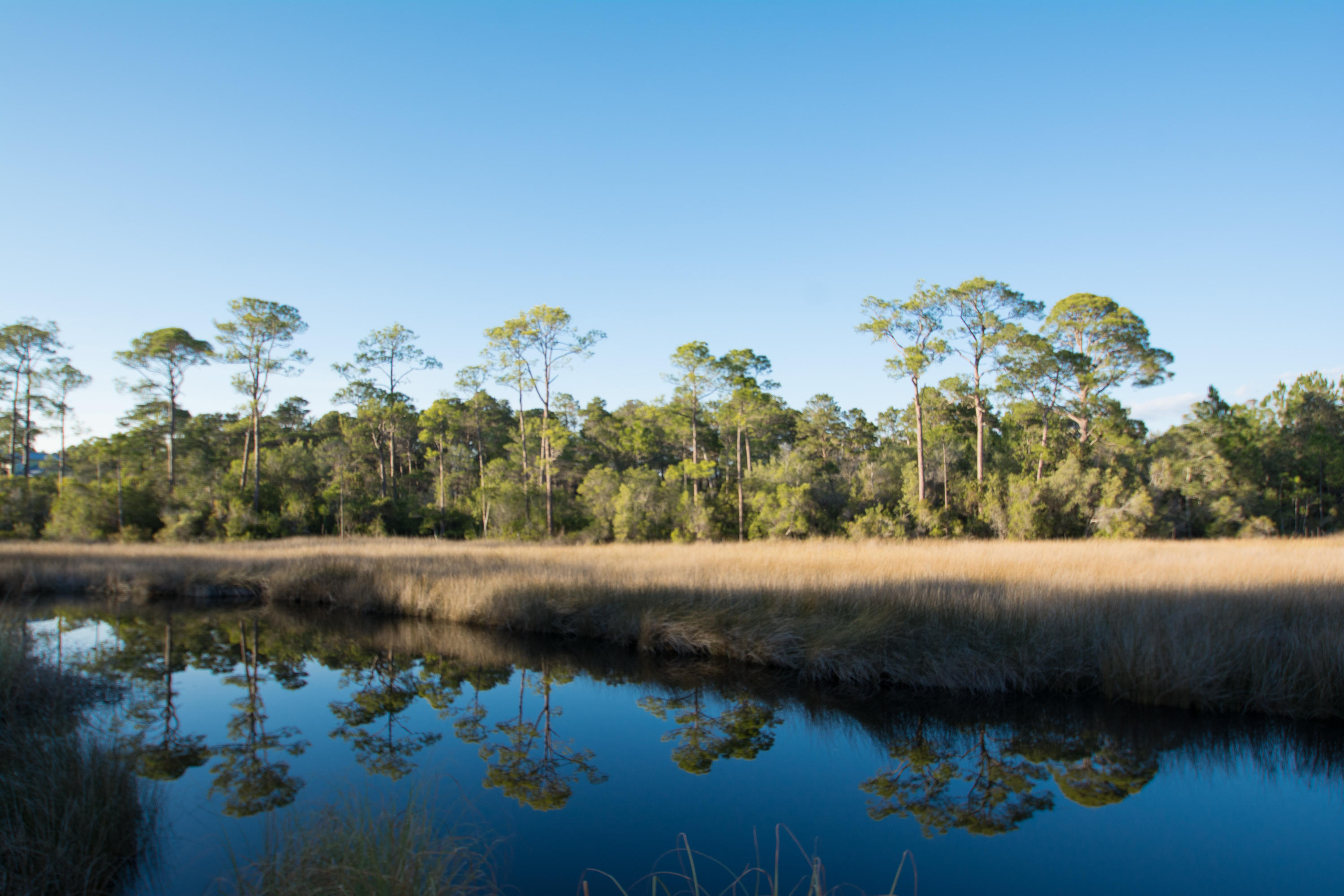 THE PRESERVE AT INLET BEACH - Residential