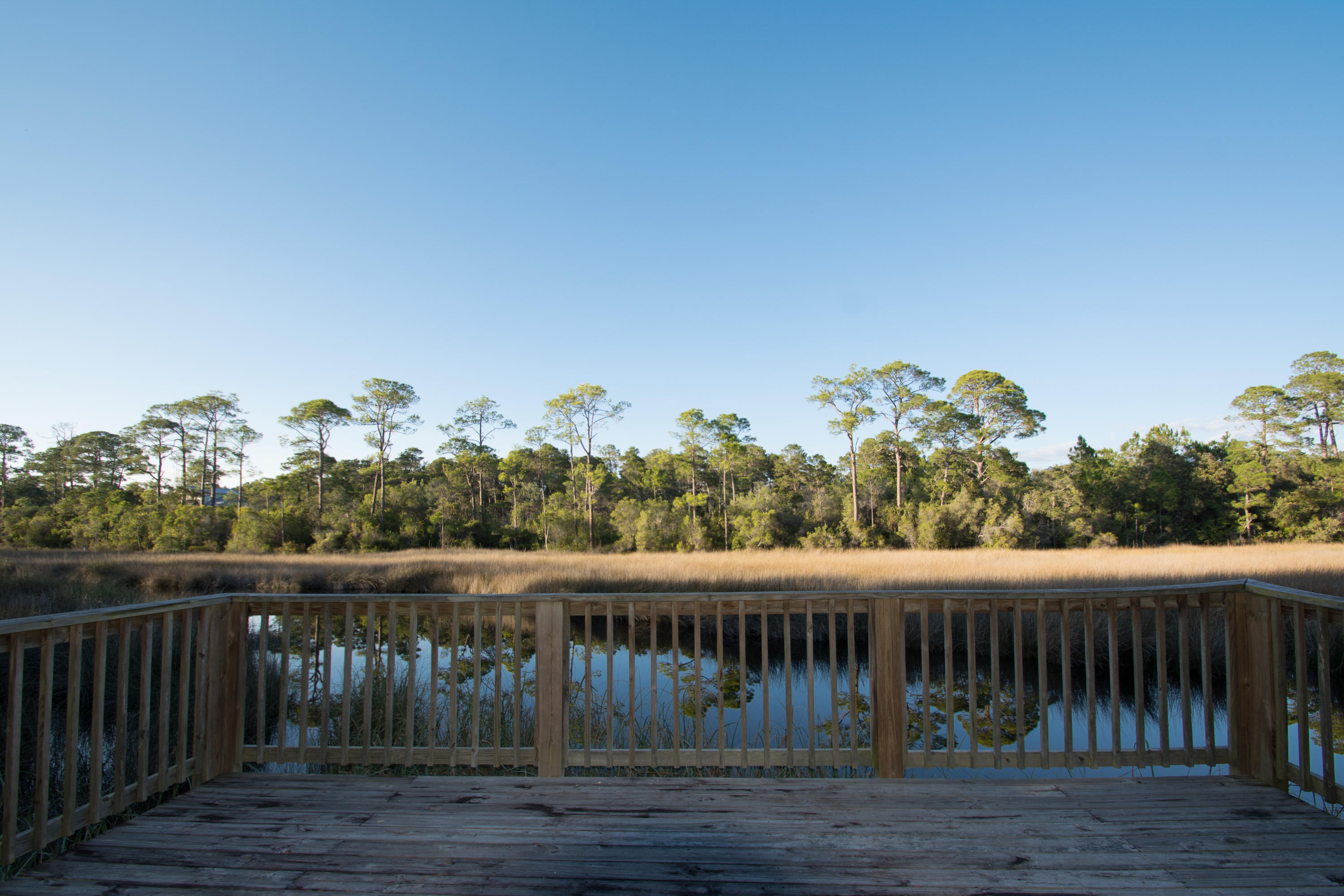 THE PRESERVE AT INLET BEACH - Residential