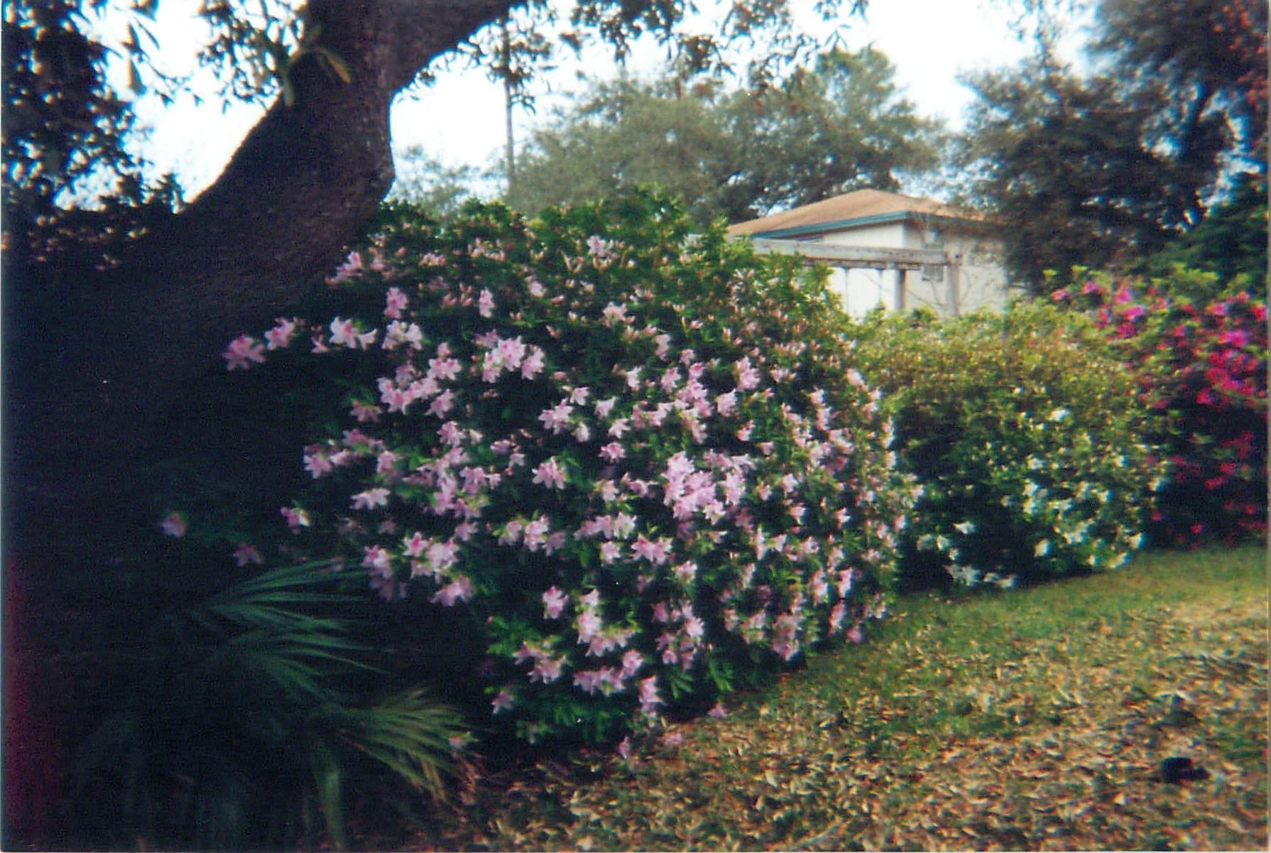 LAKE LORRAINE ESTATES 3 - Residential