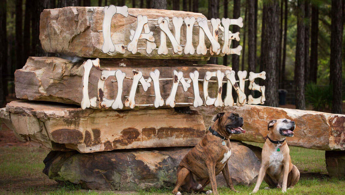 Hammock Bay - Firefly - Residential