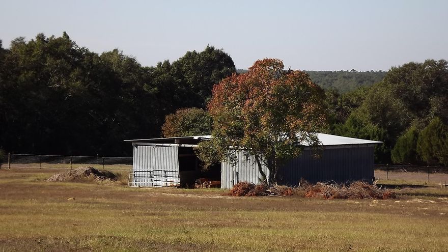 Beautiful property to build or bring your mobile home too. Property has pasture for the animals and a 48x36 barn with water. It is fenced and crossed fenced and has 2 sheds both with power. New septic tank recently installed.