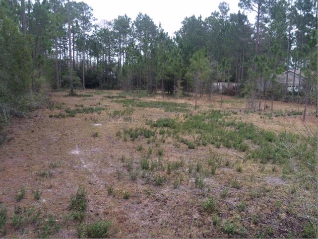 Come build your dream home on this huge gorgeous lot! All dimensions are estimates.