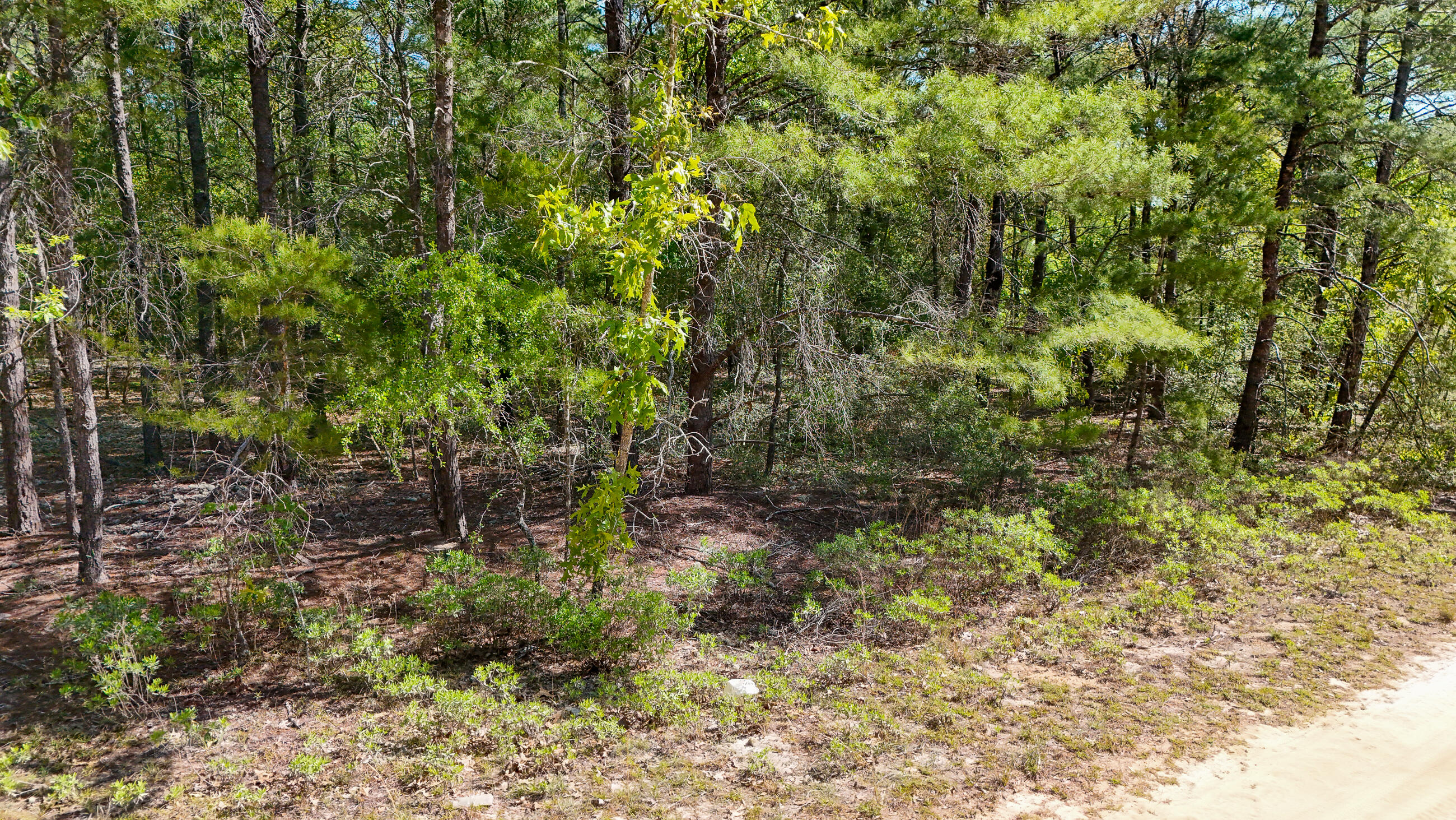 Discover your dream property on Margaret Blvd in picturesque Mossy Head, FL! This sprawling 0.98-acre lot offers endless possibilities to build your perfect home or manufactured home. Nestled in a serene, nature-filled setting, enjoy the tranquility and privacy this spacious lot provides, while staying conveniently close to major highways, shopping, and dining. Imagine creating your own oasis, with ample space for gardens, outdoor entertaining, or recreational activities. Don't miss this rare opportunity to own a slice of paradise in a rapidly growing community. Act now and turn your vision into reality!