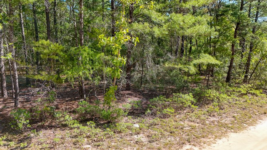 Discover your dream property on Margaret Blvd in picturesque Mossy Head, FL! This sprawling 0.98-acre lot offers endless possibilities to build your perfect home or manufactured home. Nestled in a serene, nature-filled setting, enjoy the tranquility and privacy this spacious lot provides, while staying conveniently close to major highways, shopping, and dining. Imagine creating your own oasis, with ample space for gardens, outdoor entertaining, or recreational activities. Don't miss this rare opportunity to own a slice of paradise in a rapidly growing community. Act now and turn your vision into reality!