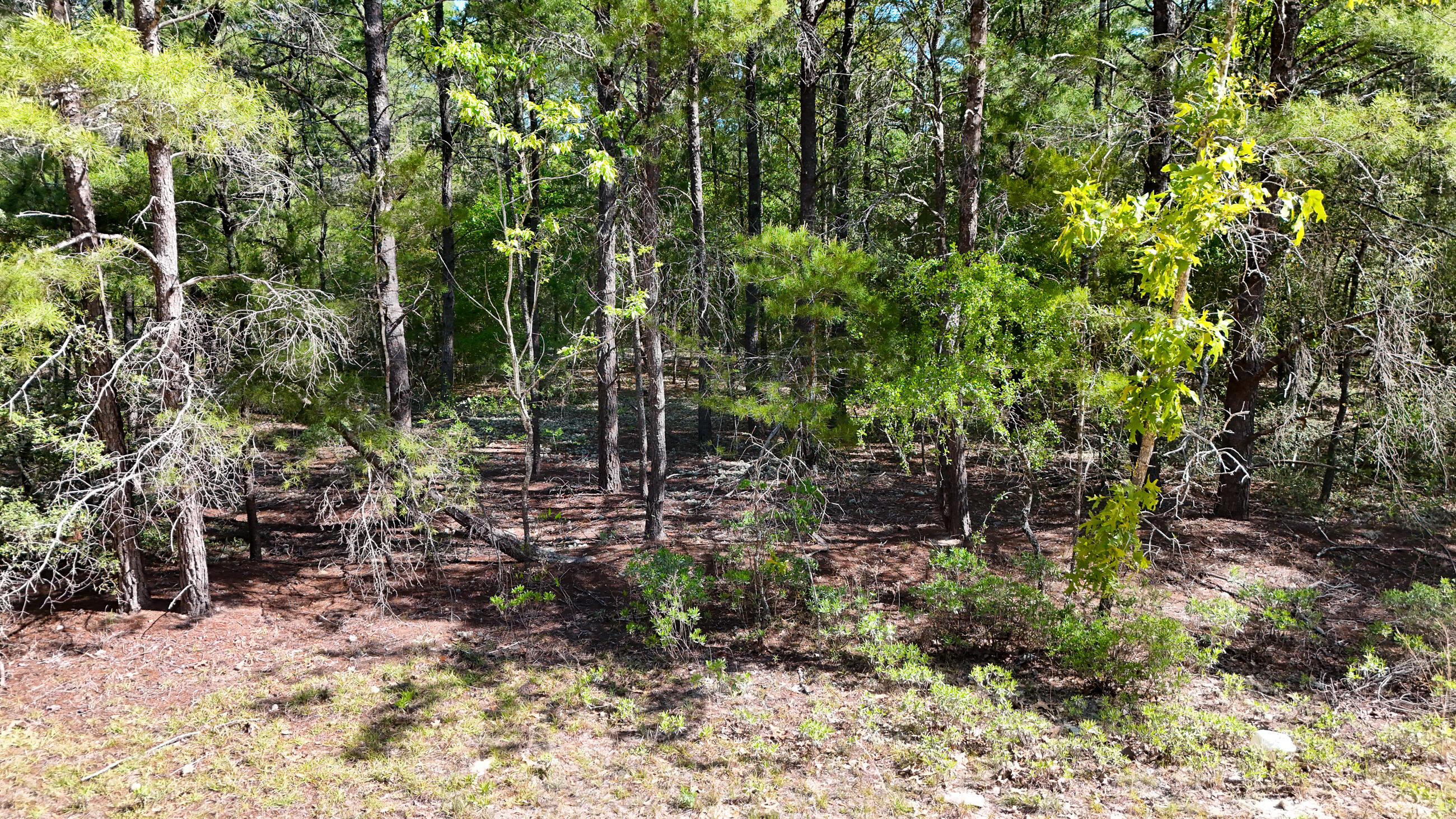 OAKWOOD HILLS UNIT 5 - Land