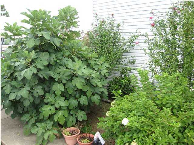 NAVARRE S/D 2ND ADDN - Residential