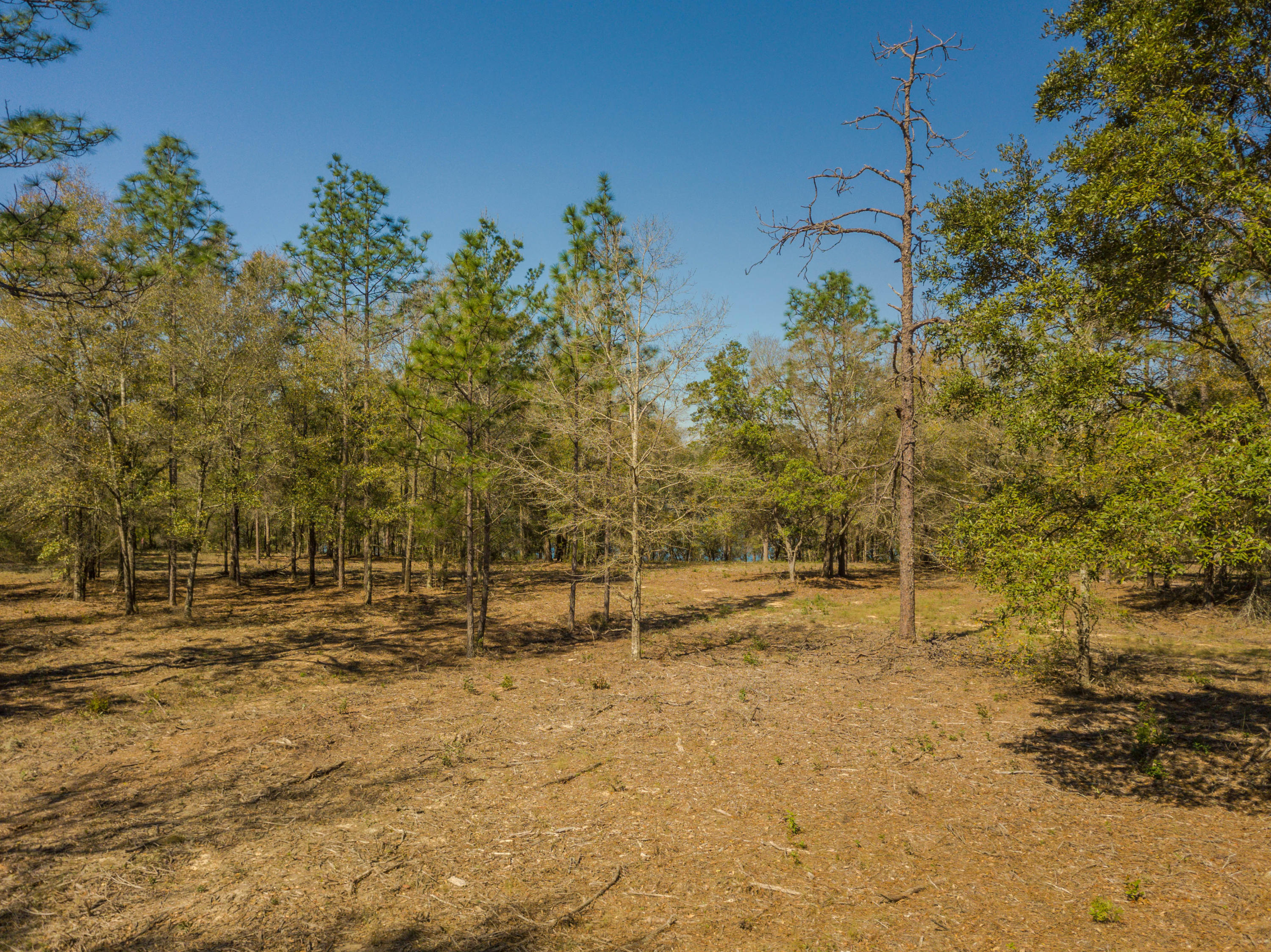 SPRING LAKE #1 - Land