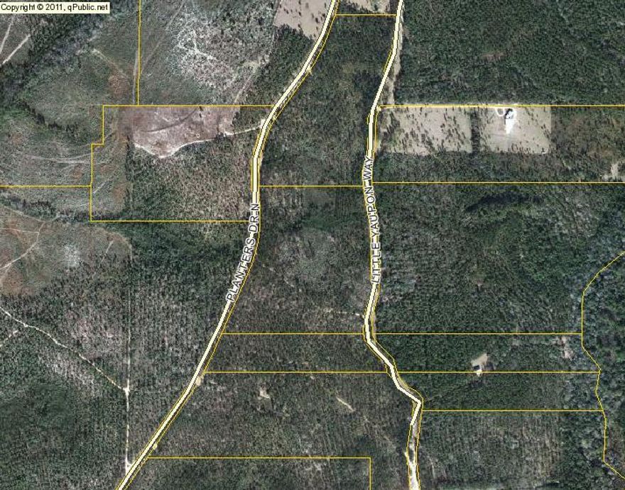 10.5 Acre parcel offered as part of Walton Plantation. Riding areas for horses and four-wheelers. It also has a large area designated for hunting for anyone that wishes to join the Hunting Club. There is an abundance of deer and turkey on this large development.