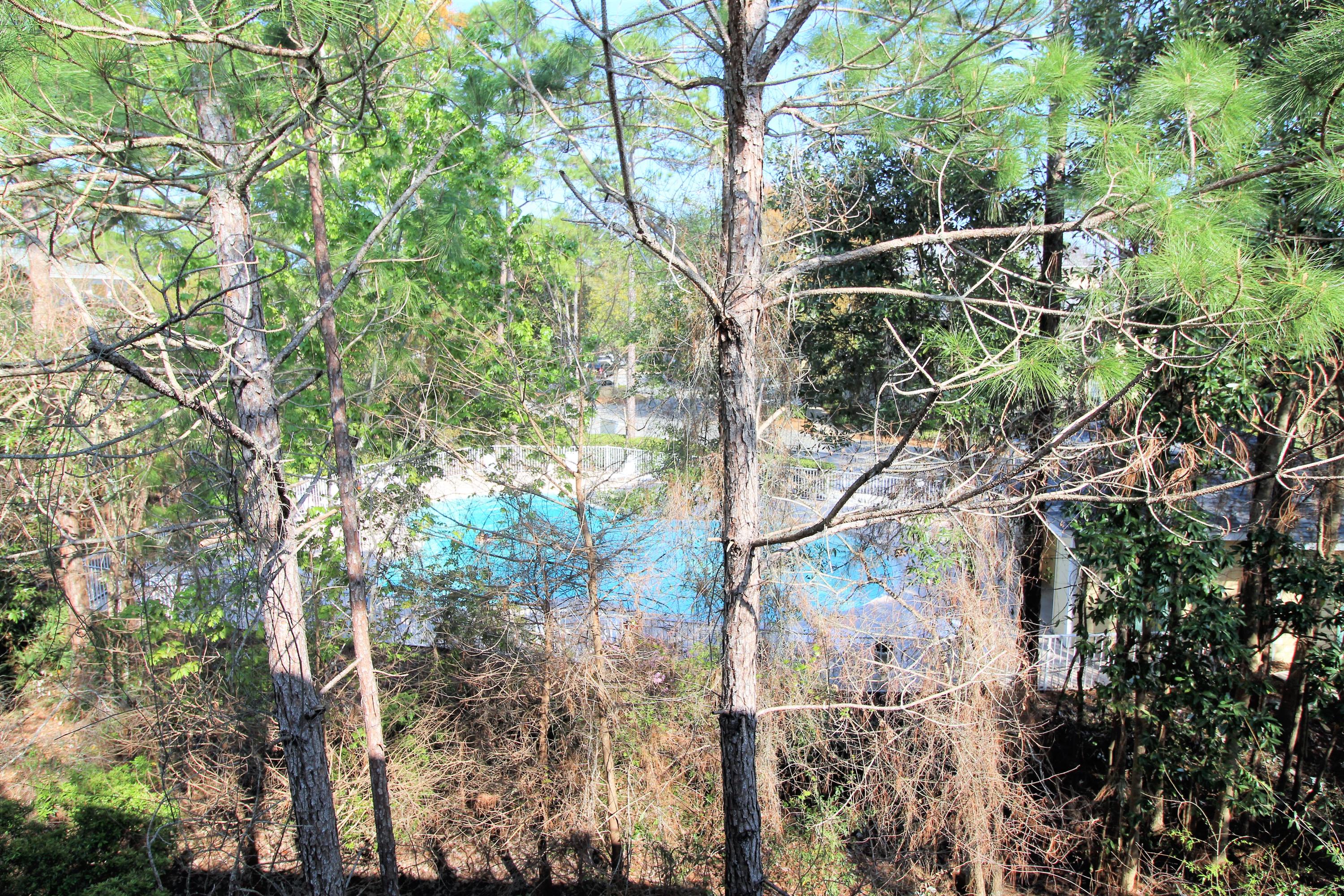 Unit 1009 Point of View - Residential