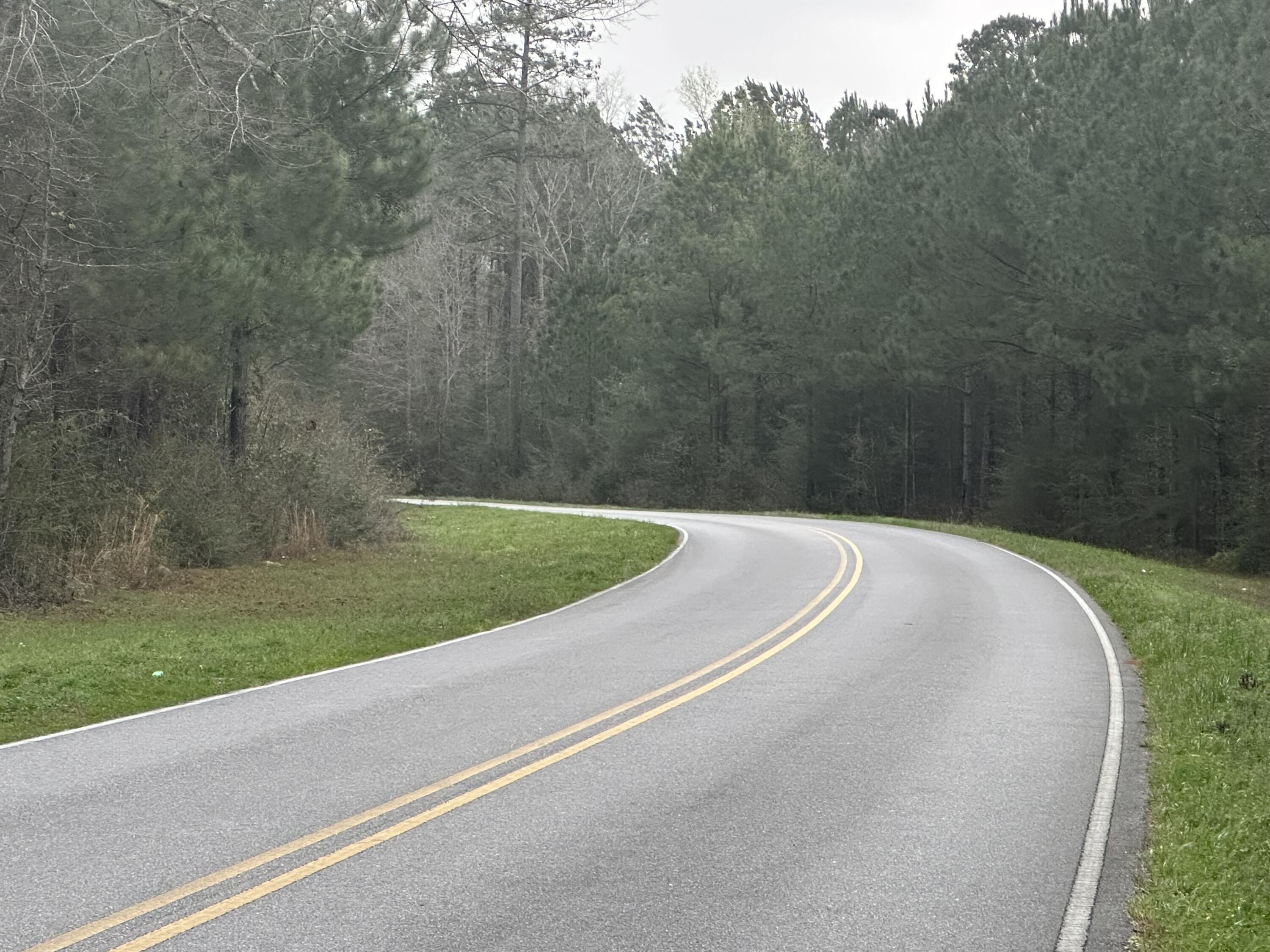 Dream Location for Country Living or Hunters Paradise, either way you won't want to miss this opportunity! This Beautiful 40.02+/- AC property has so much to offer. High and Dry, paved road with access to power, Mostly Level and 18ft estimated Beautiful planted pine trees.Turkey season coming soon! This beautiful location could be your forever home. Bring your build plans, hunting gear, Horses and ATVS. Convenient location to the Florida /Alabama Stateline with easy access to County Hwy 181 W and Hwy 83.