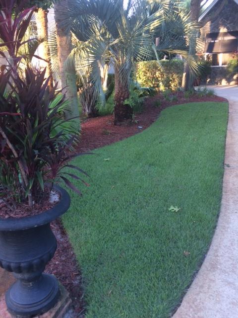 Emerald Lakes PH II - Residential