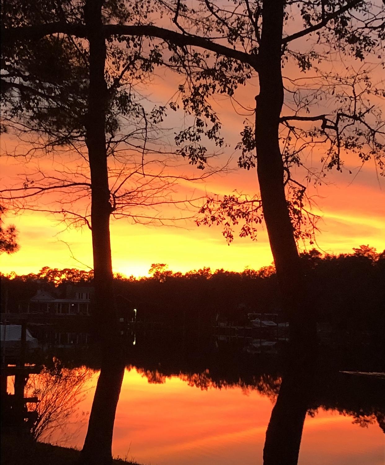 Looking for a fabulous view of Shirks Bayou? Don't miss this opportunity to experience gorgeous sunsets, dolphins playing and all the beauty this town home on the bayou has to offer. This well-maintained home has over 1800 sq ft PLUS a heated and cooled Florida Room. You will experience these beautiful water views from most every room including the large living room, large master bedroom, the Florida Room and upstairs loft/bedroom. The cozy kitchen has plenty of cabinet space, a pantry and a breakfast nook. Just beyond the kitchen is a dining area and a very large living room with fireplace and wood laminate floors. You'll love the HUGE master bedroom, master bath and walk-in closet. Also downstairs is a nice sized, second bedroom, full bath and a wonderful, heated and cooled Florida Room