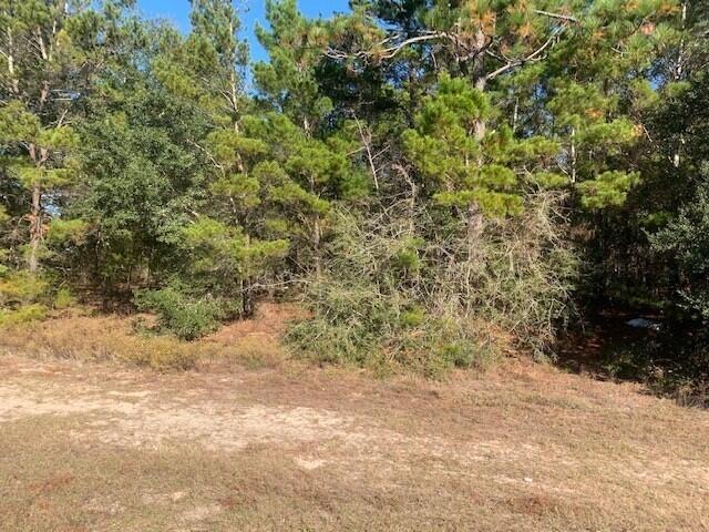 WOLFORD ACRES - Farm