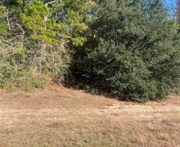 WOLFORD ACRES - Farm