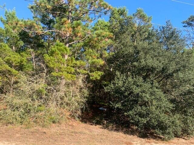 WOLFORD ACRES - Farm