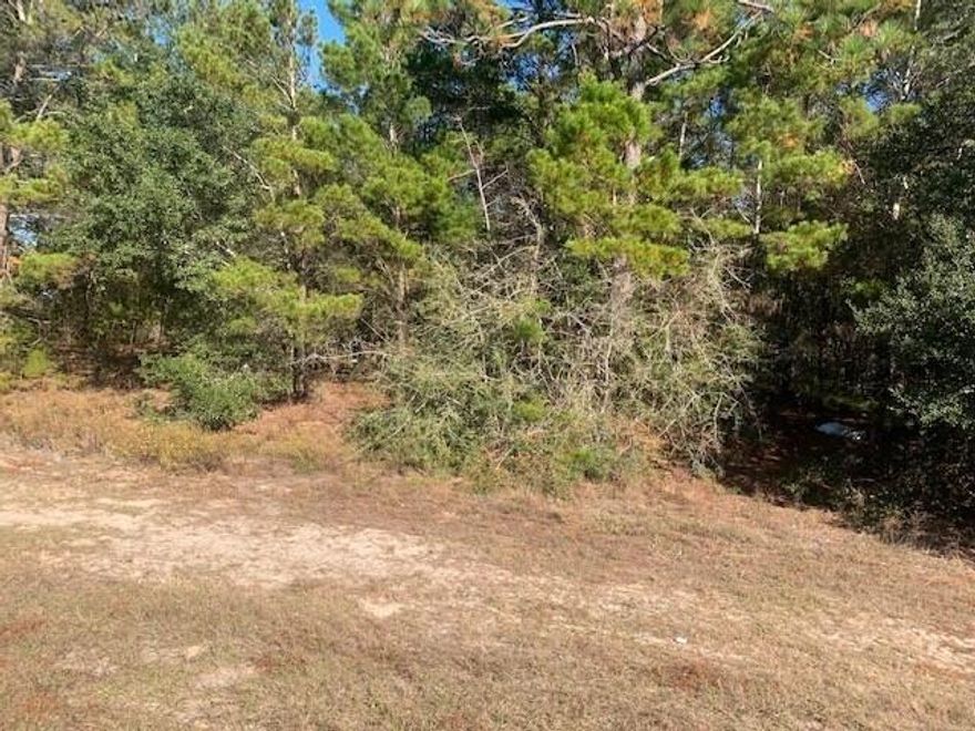 Looking for a great lot to build your new dream home.  This 1.24 acre lot is conveniently located between Hwy 85 and Hwy. 285 and close to the interstate. Bring your house plans to build your dream home.   This lot had a previous mobile home and has a utility pole and septic tank which will convey AS-IS.