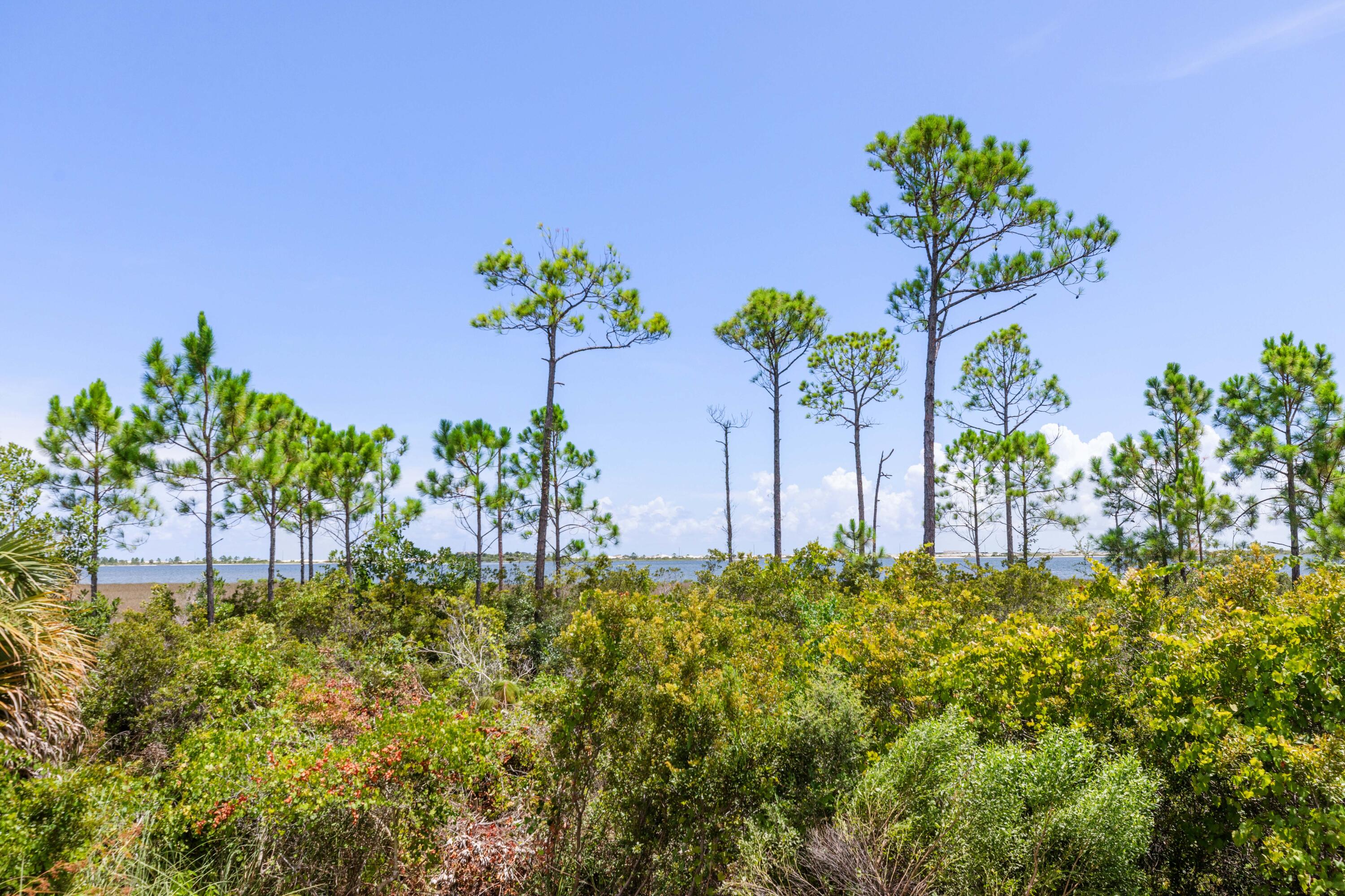 MARSH HARBOR - Residential