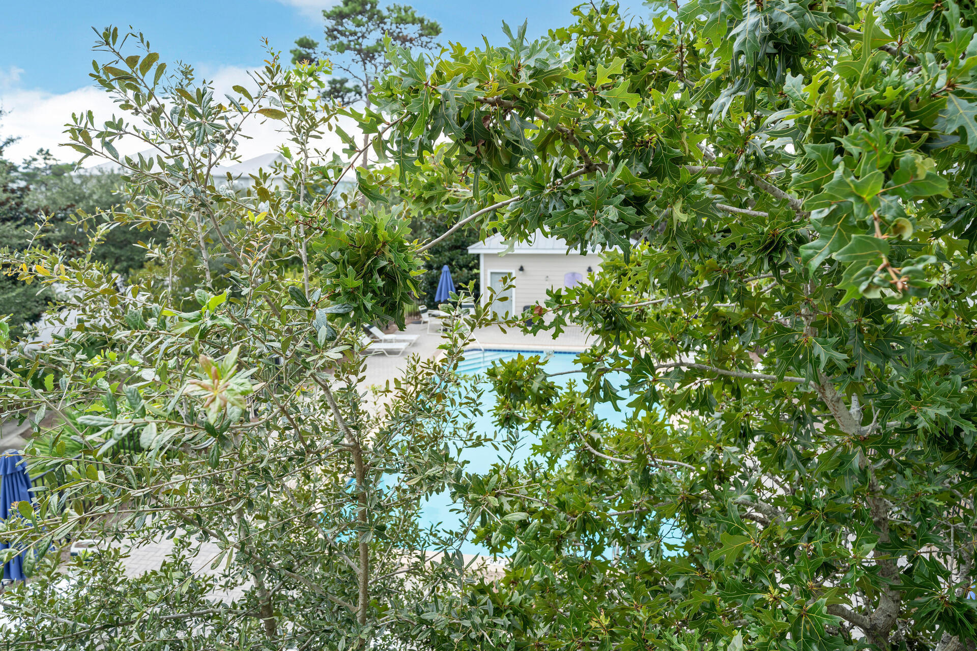 SHADOW PINES - Residential