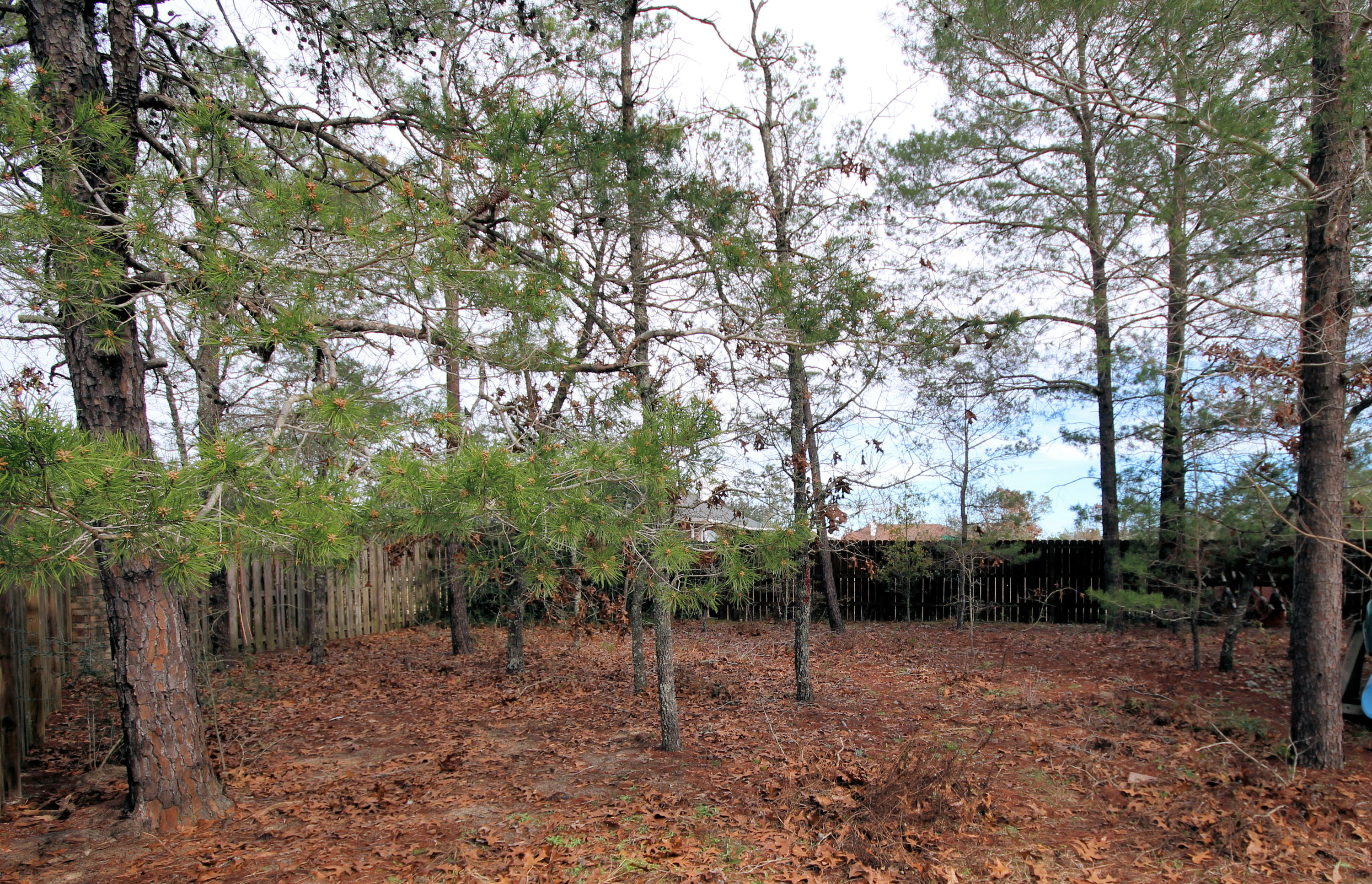 MOUNT OLIVE ESTATES - Residential