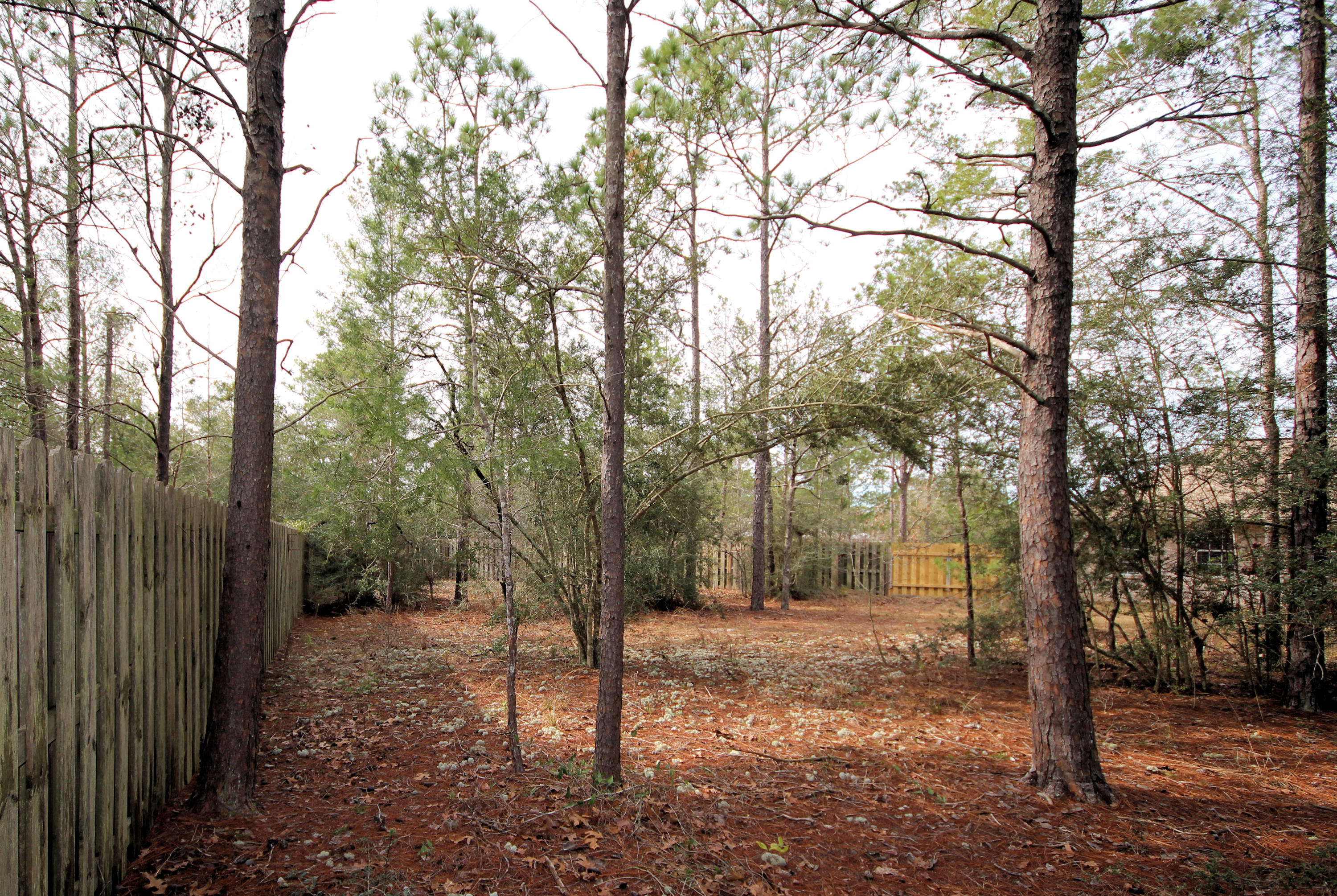 MOUNT OLIVE ESTATES - Residential