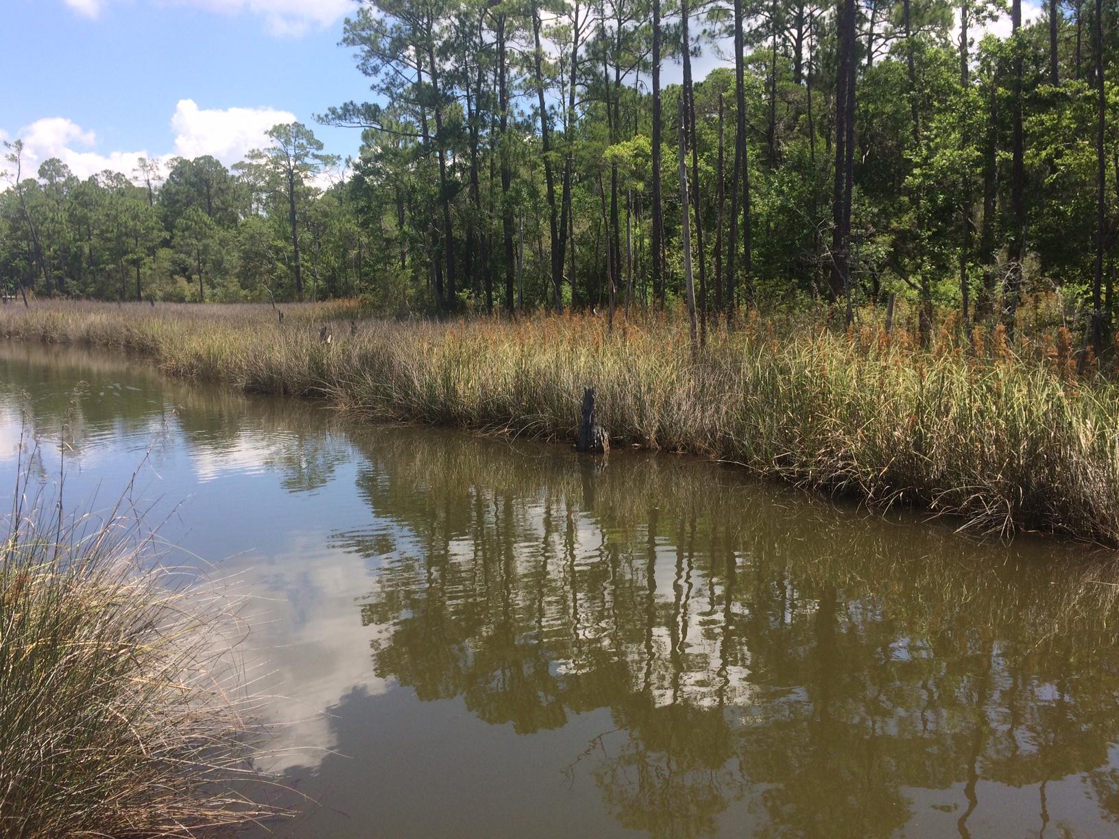 WOODLAND BAYOU ESTATES - Land