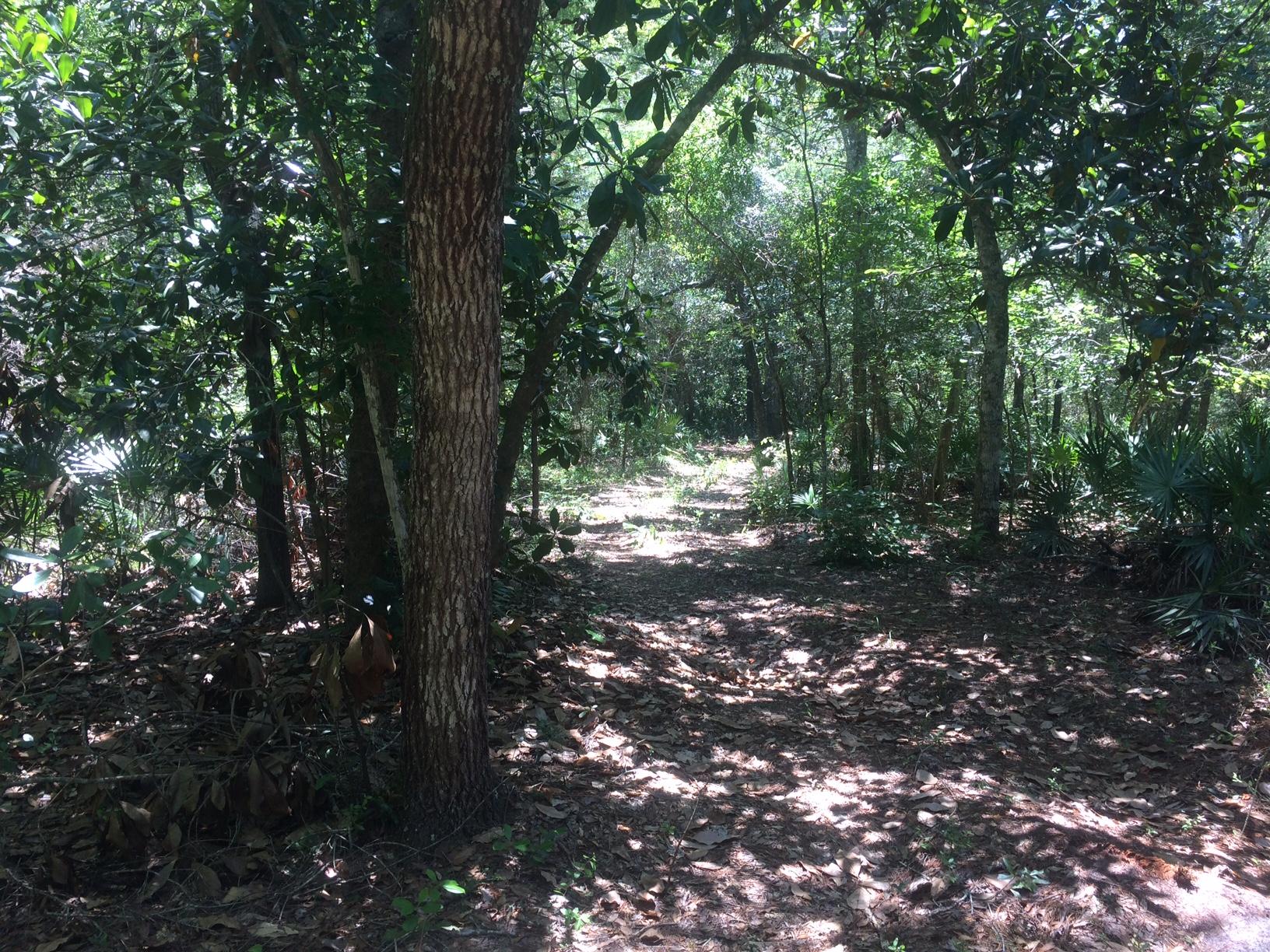 WOODLAND BAYOU ESTATES - Land