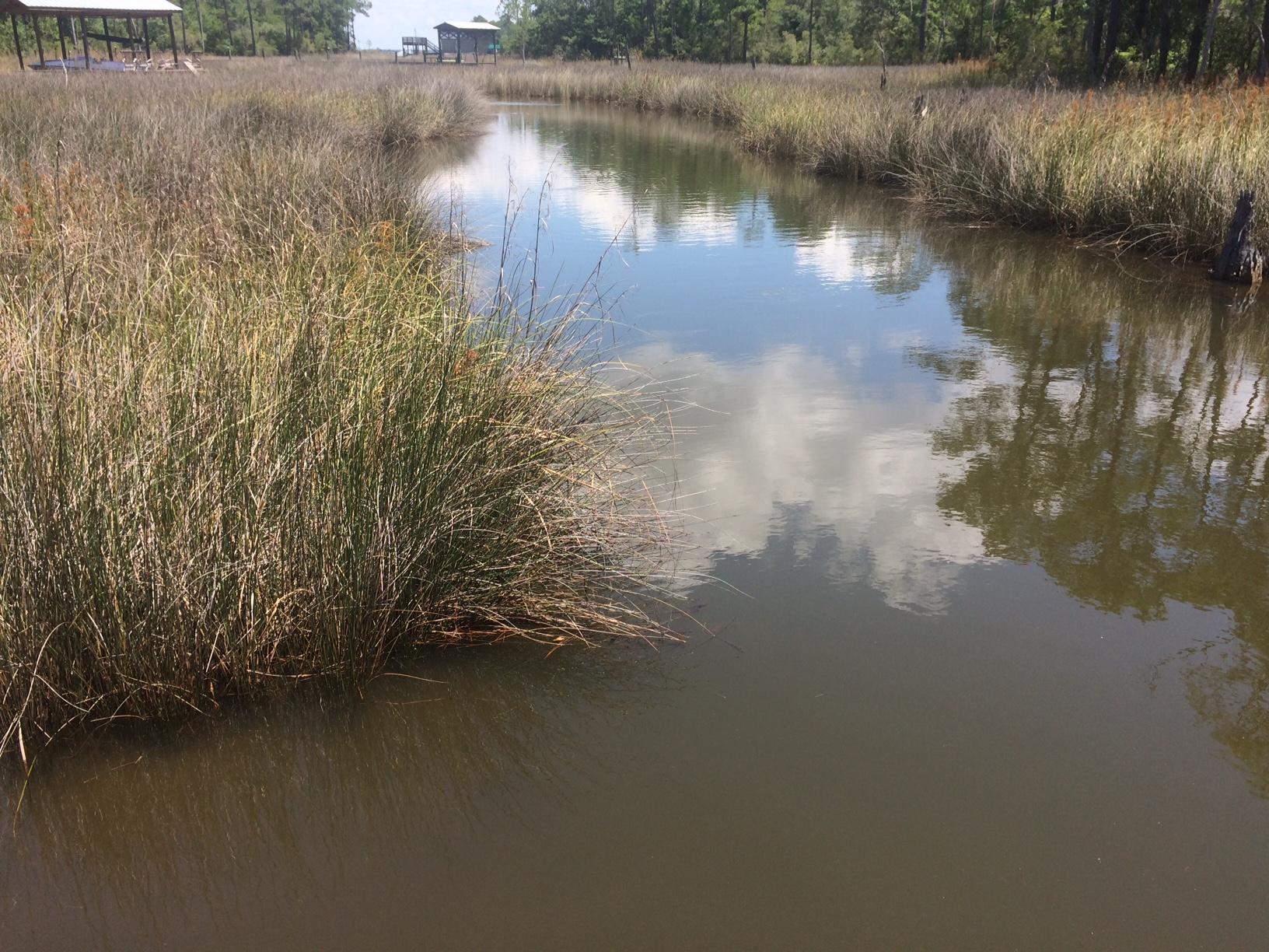 WOODLAND BAYOU ESTATES - Land