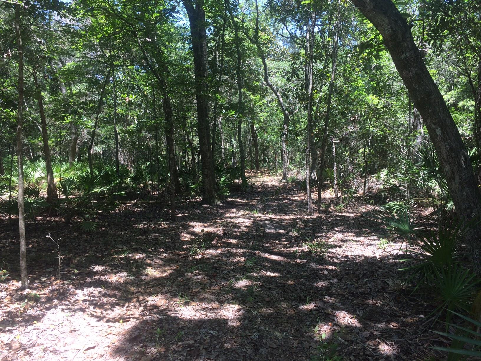 WOODLAND BAYOU ESTATES - Land