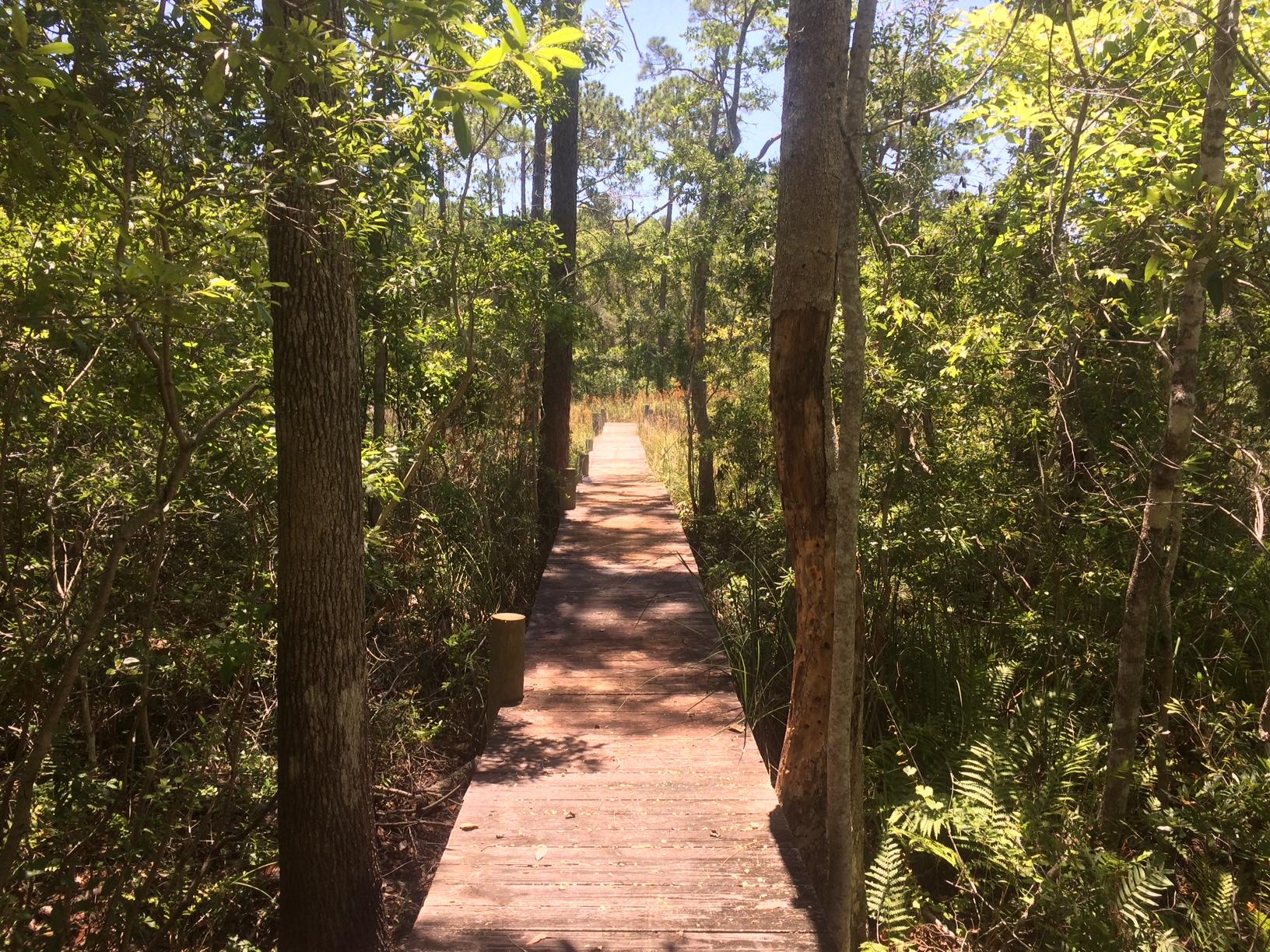 WOODLAND BAYOU ESTATES - Land