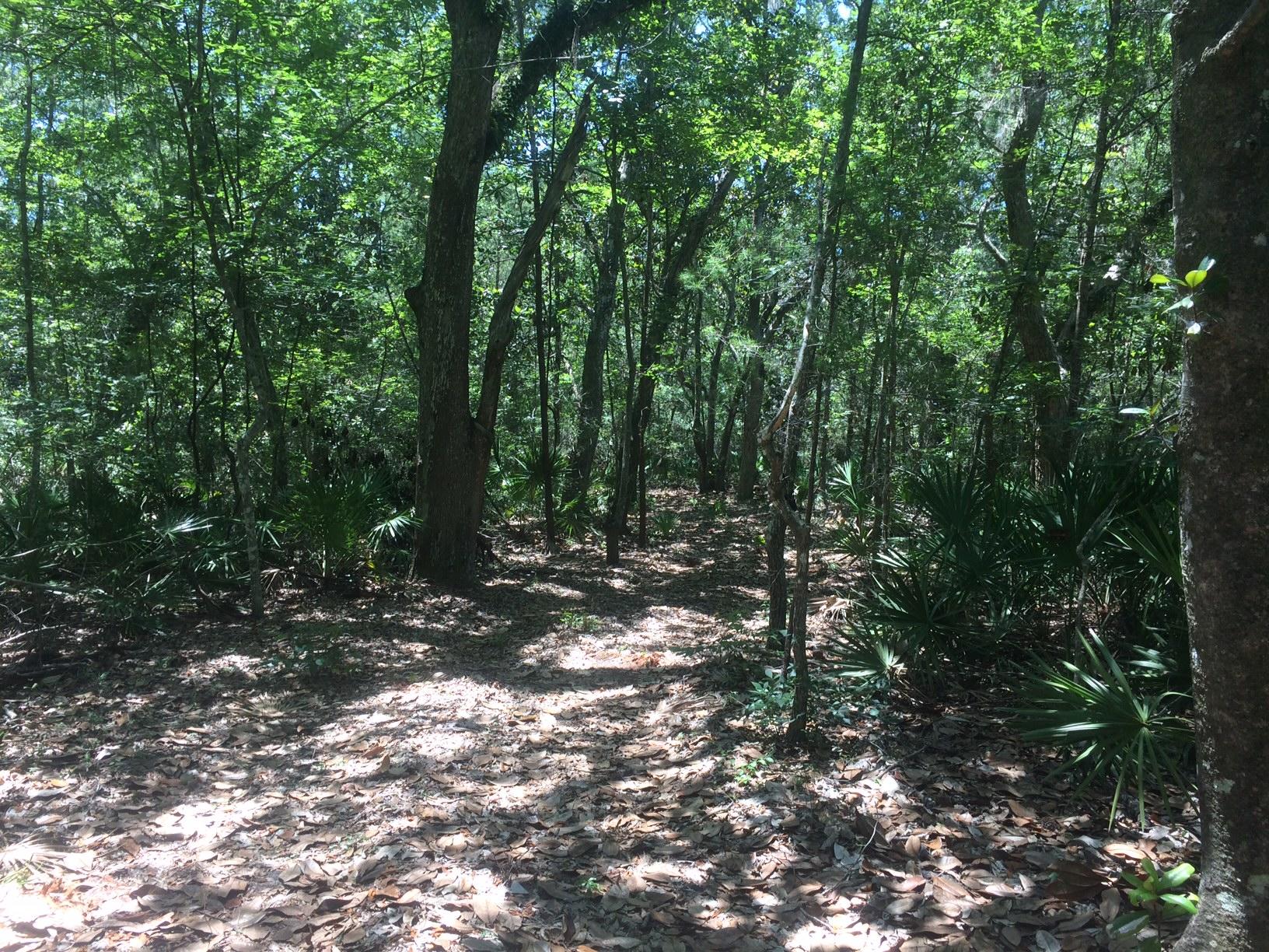 WOODLAND BAYOU ESTATES - Land