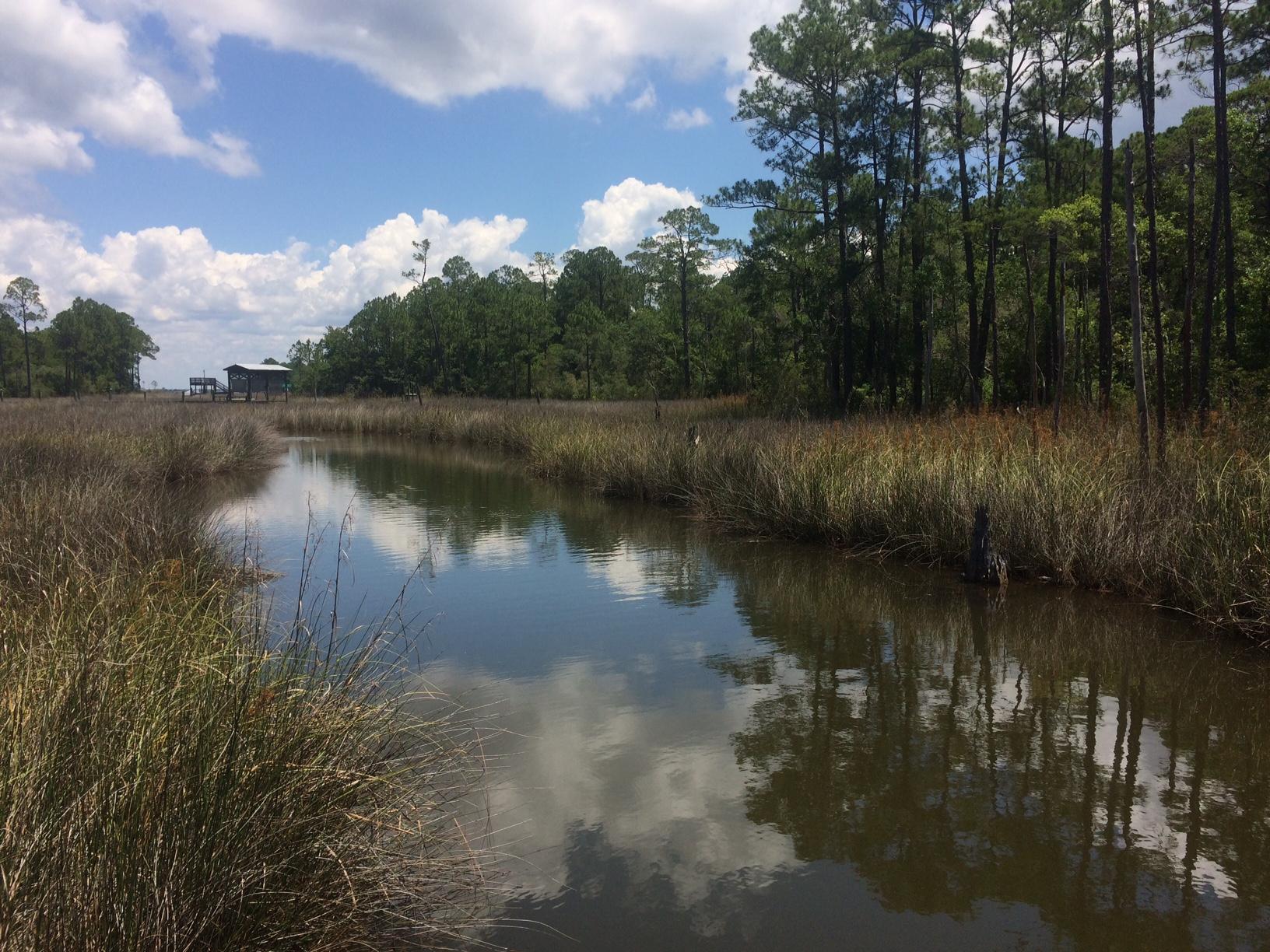 WOODLAND BAYOU ESTATES - Land