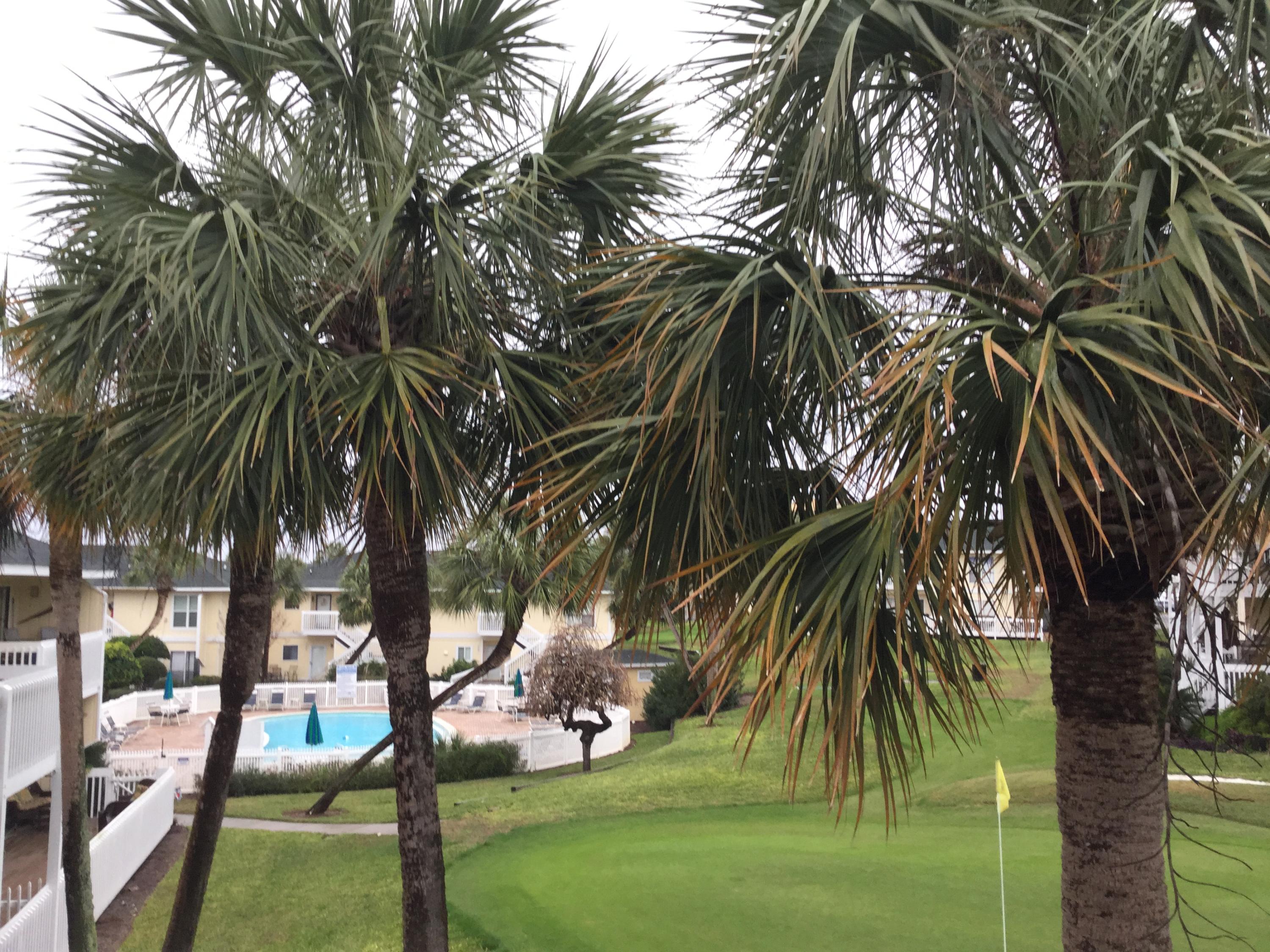 SANDPIPER COVE PH 03 - Residential