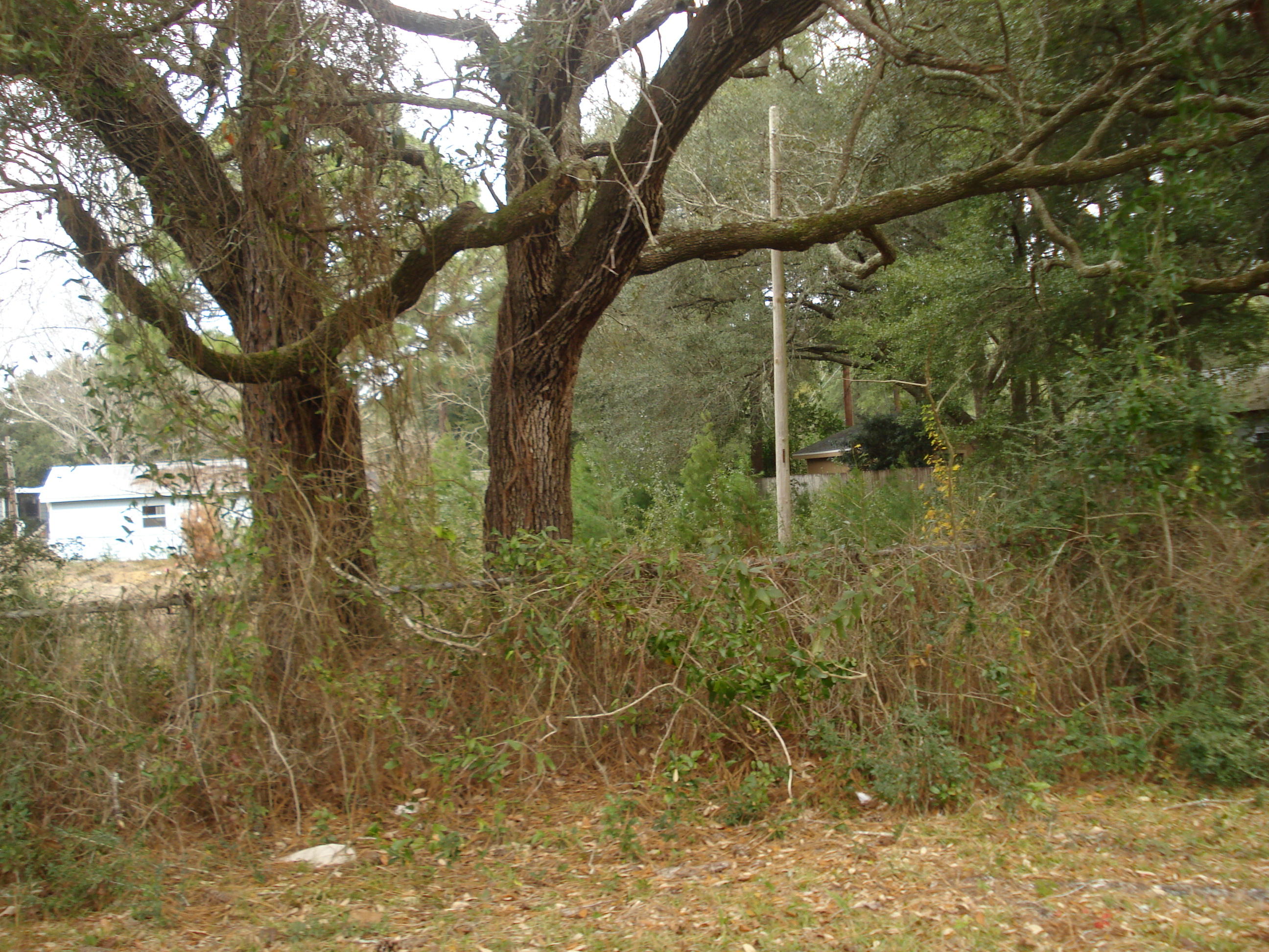 SEMINOLE S/D - Residential