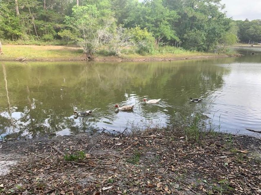 Beautiful ''high & dry'' waterfront lot on in Robledal! This fantastic home site is nicely treed with Live Oaks and Magnolias and is nestled on a quiet street in one of Navarre's most popular waterfront neighborhoods. This lot has 104 ft on a spring fed lake. Come see this hidden gem and get your house plan ready!