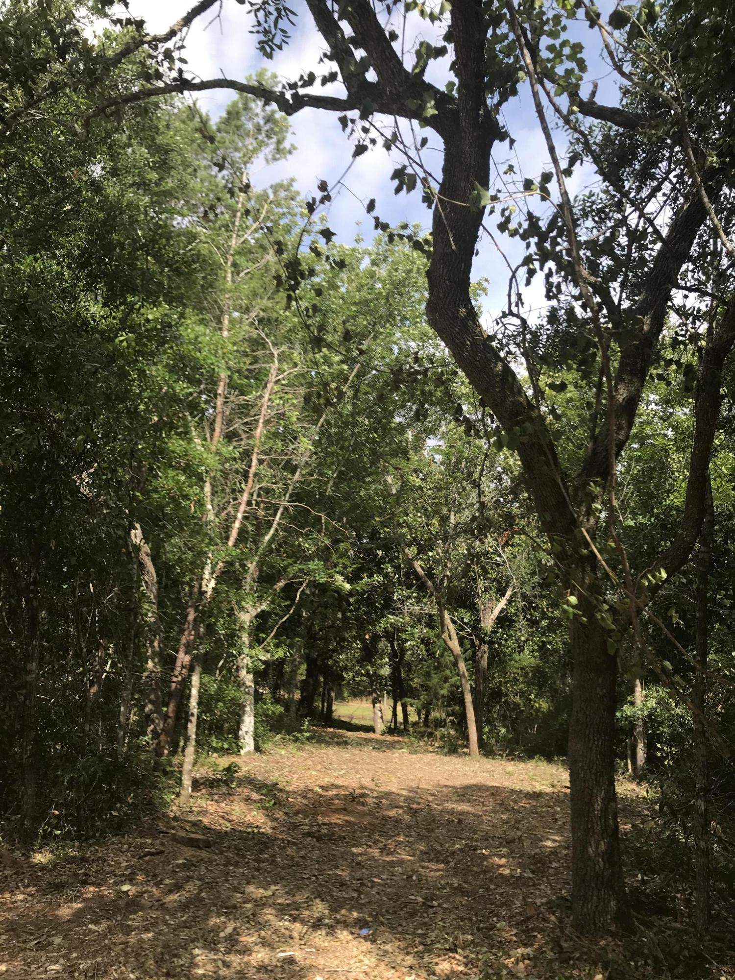 ROBLEDAL ESTATES UNIT 6 - Land